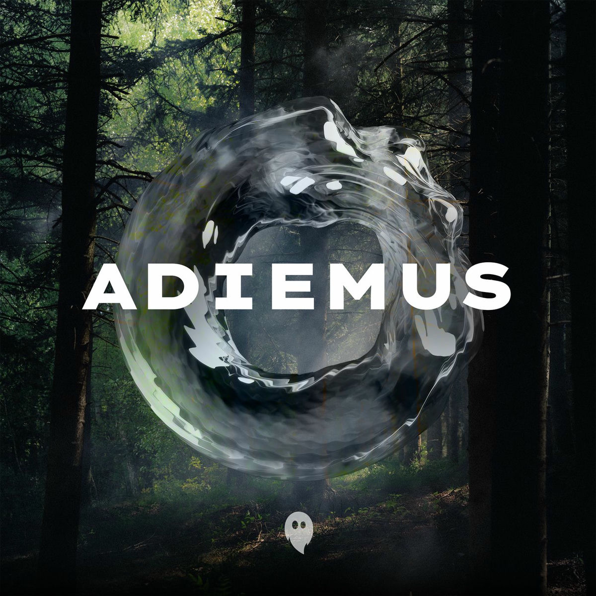 Album cover of Adiemus