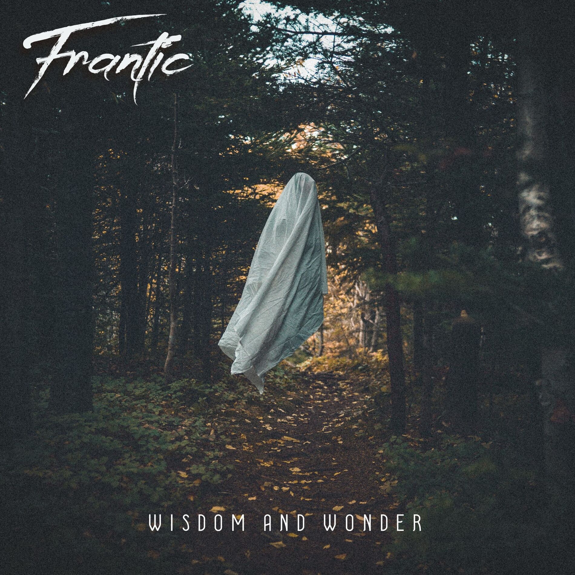 Album cover of Wisdom and Wonder