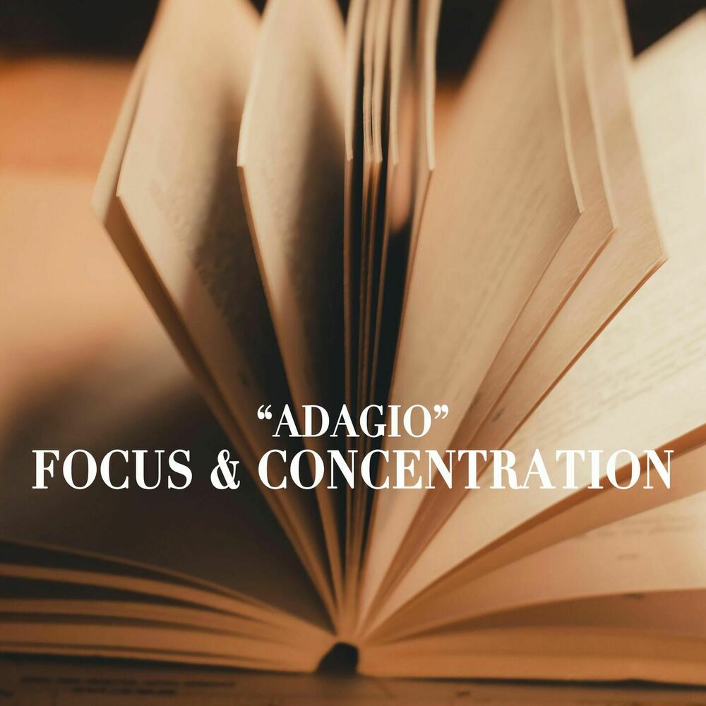 Picture of "Adagio" - Focus and Concentration