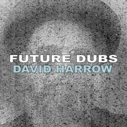Cover of Future Dubs