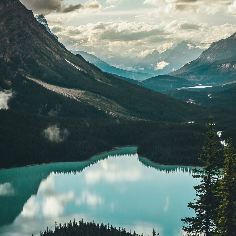 Picture of Tranquil Reflections