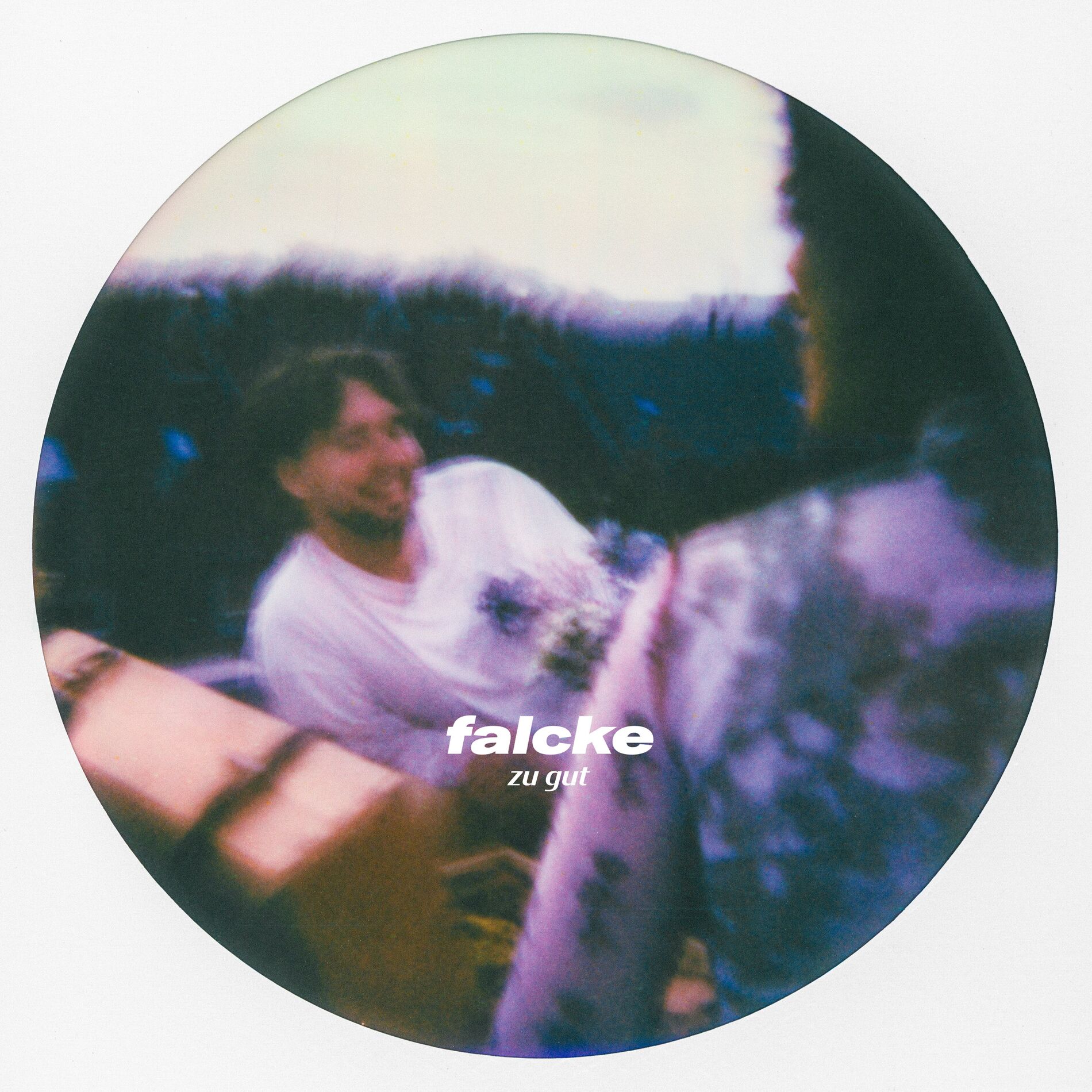 Album cover of zu gut