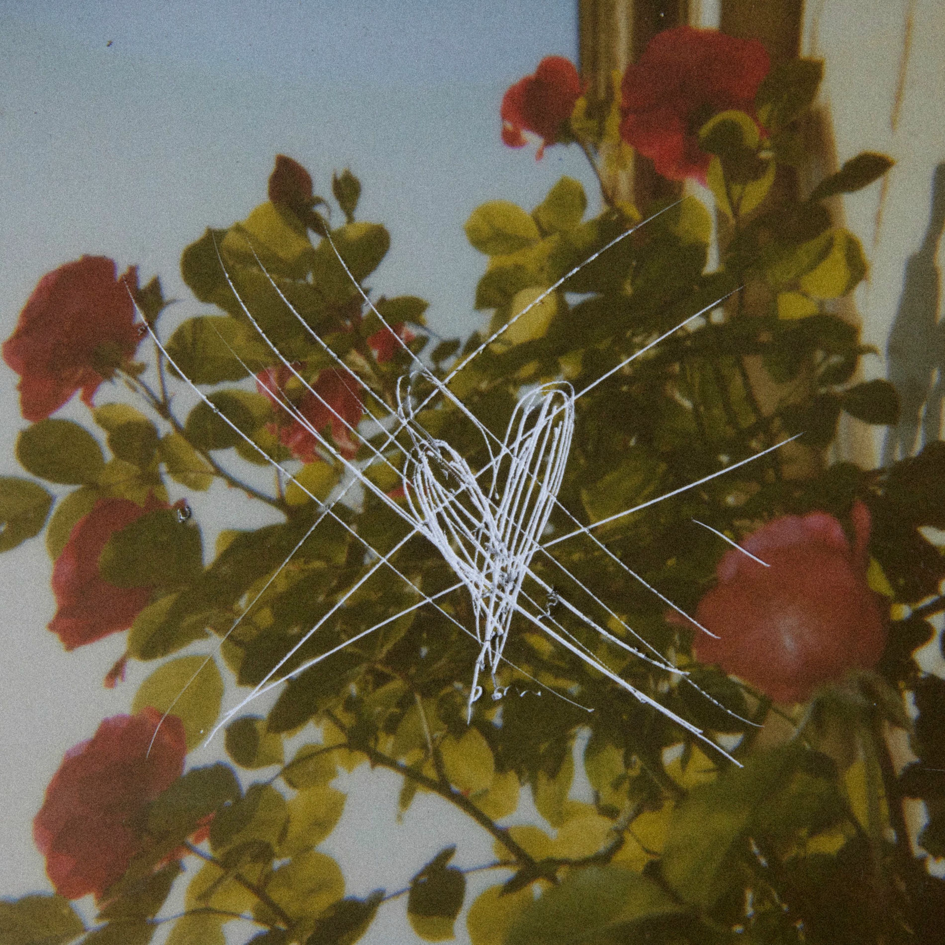 Album cover of Wenn ich liebe
