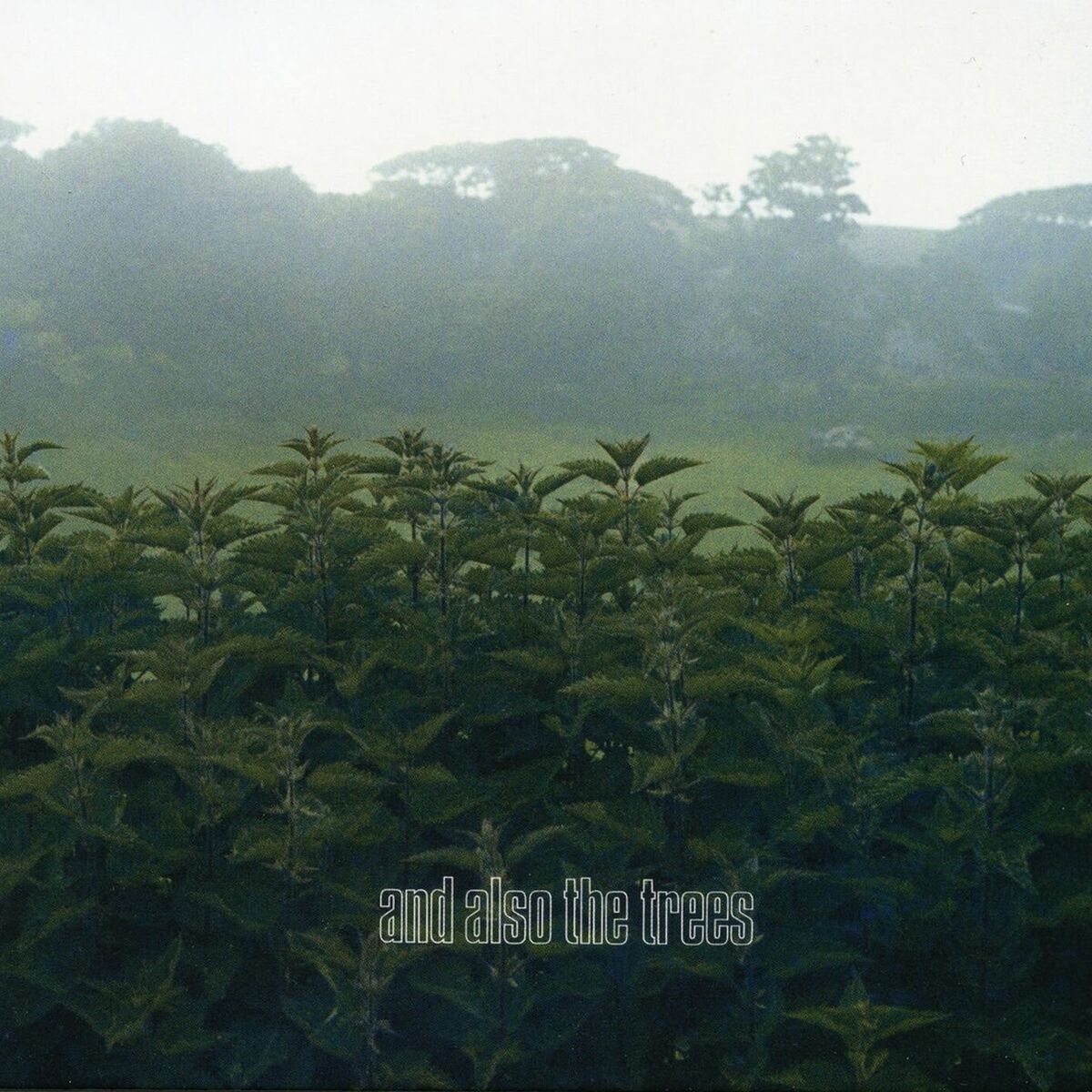 Album cover of And Also The Trees