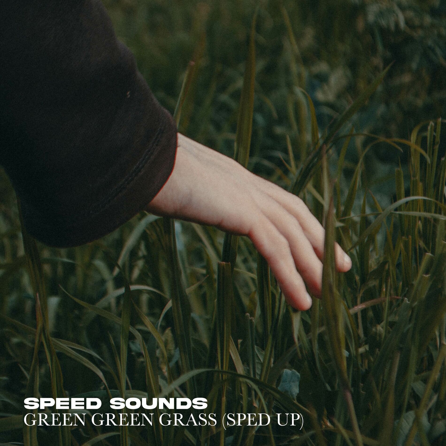 Album cover of Green Green Grass