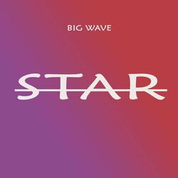 Cover of Star