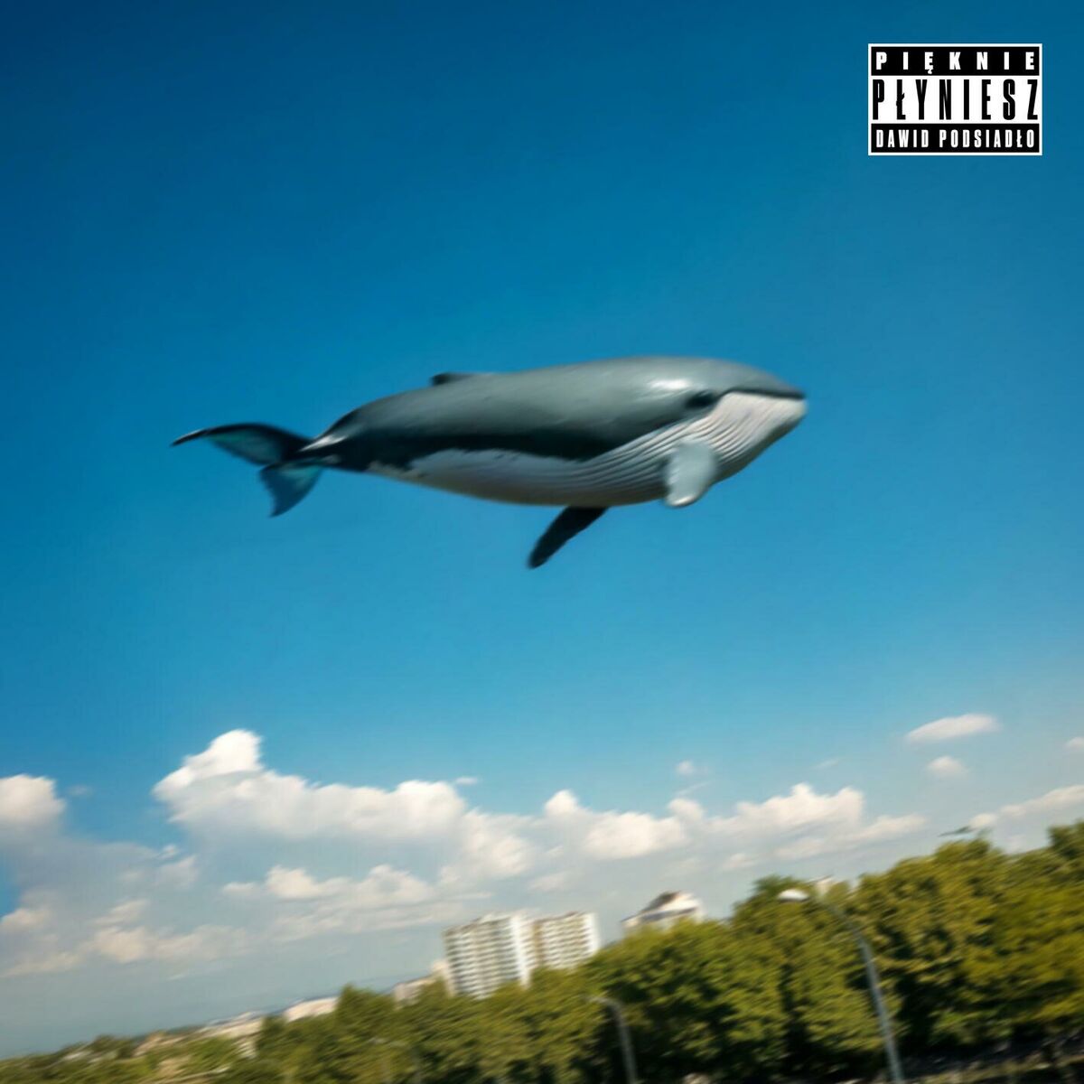 Album cover of Pięknie płyniesz
