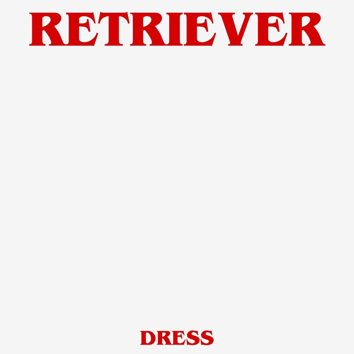 Album cover of Dress