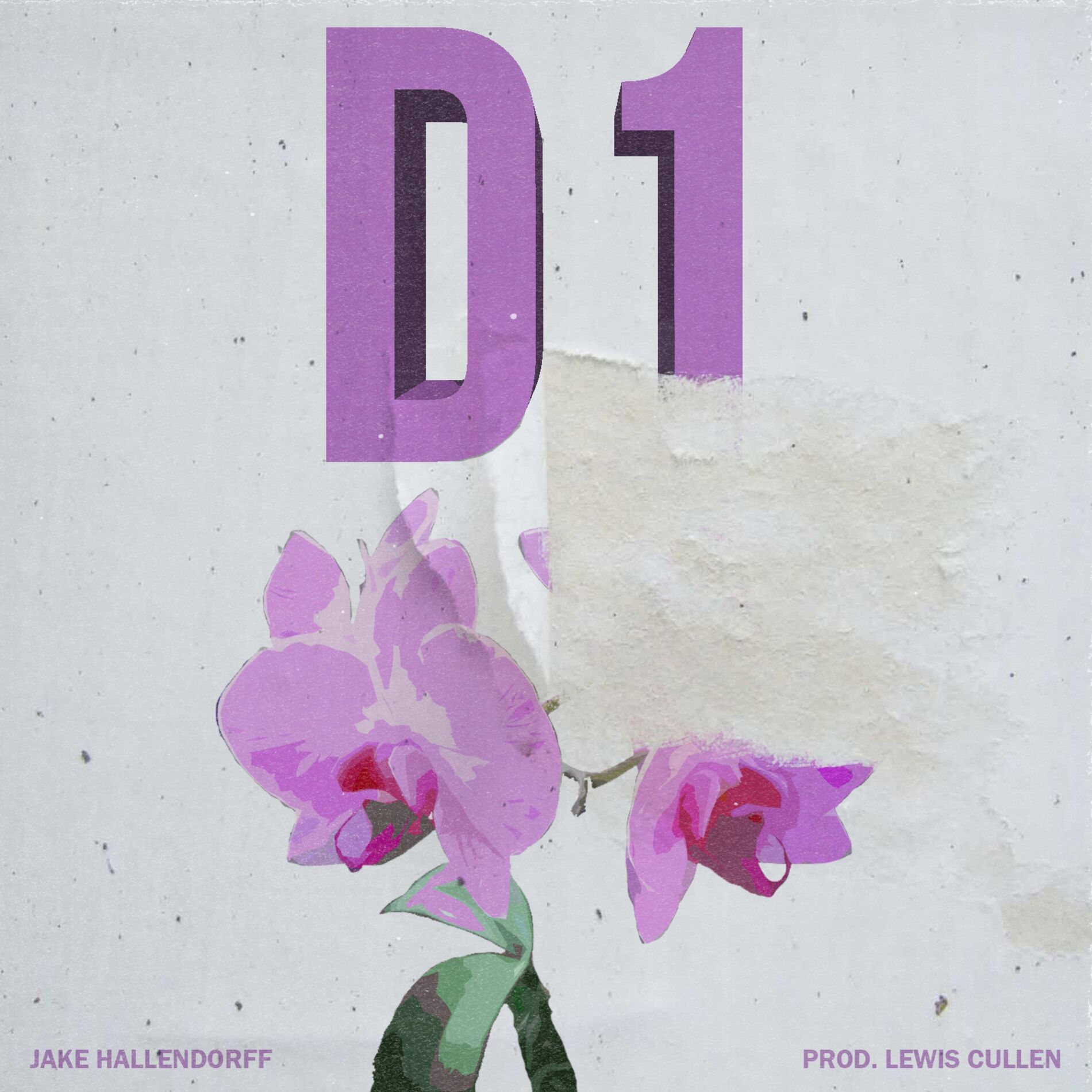Album cover of D1