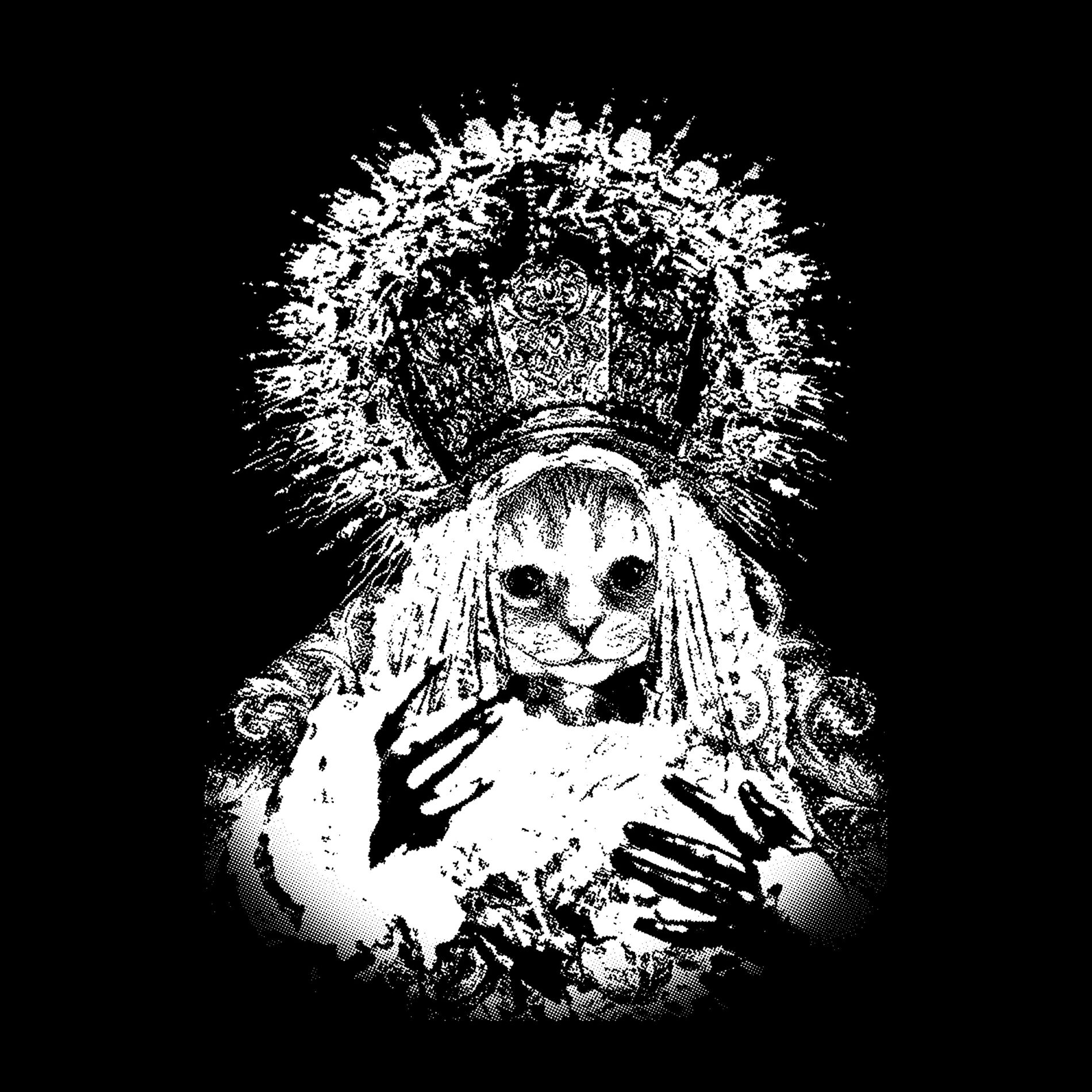Album cover of Resurrection