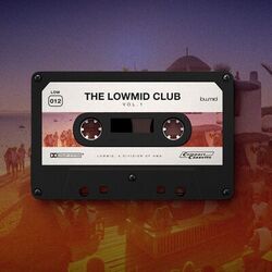 the lowmid club. vol. 1