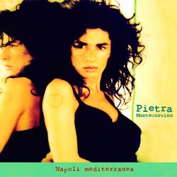 Cover of Napoli mediterranea