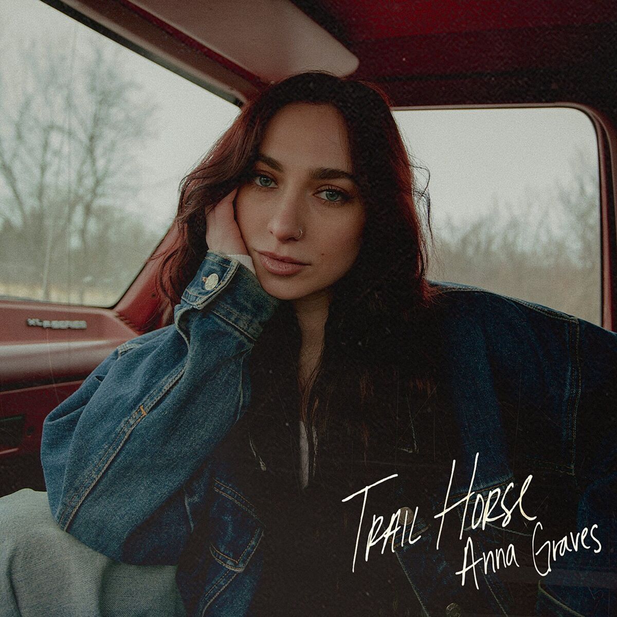 Album cover of Trail Horse