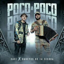 Cover of Poco A Poco