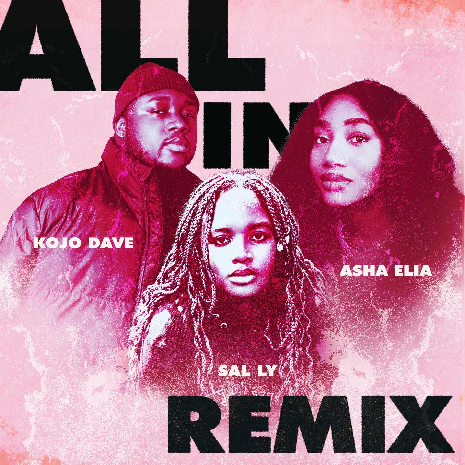 Album cover of All In (Remix)