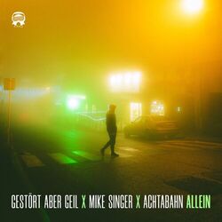 Cover of Allein