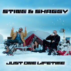 Cover of Just One Lifetime