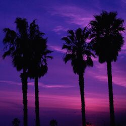 Cover of Breeze