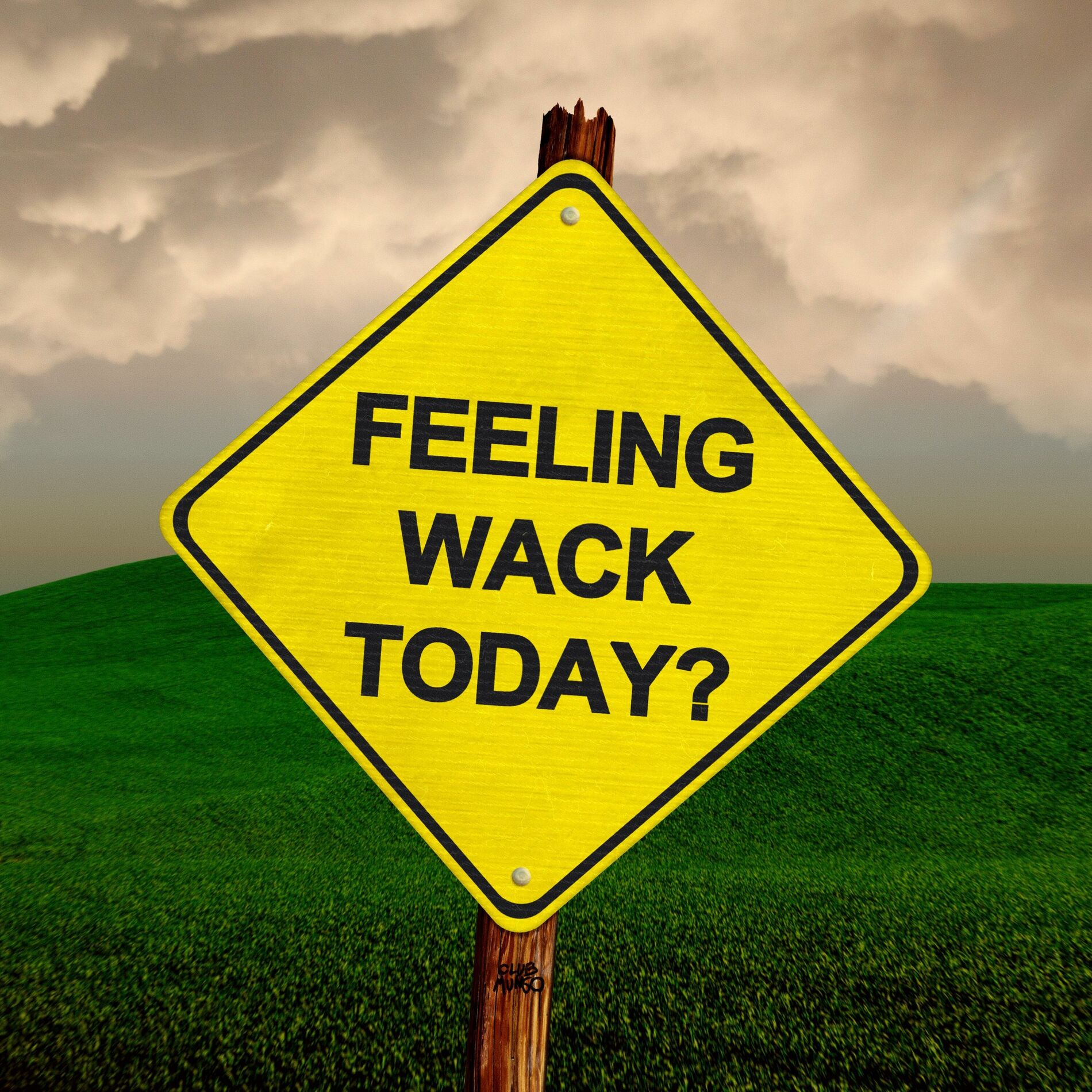 Album cover of WACK TODAY
