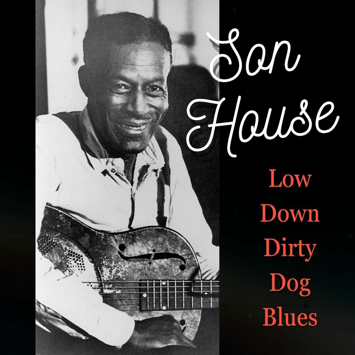 Album cover of Low Down Dirty Dog Blues