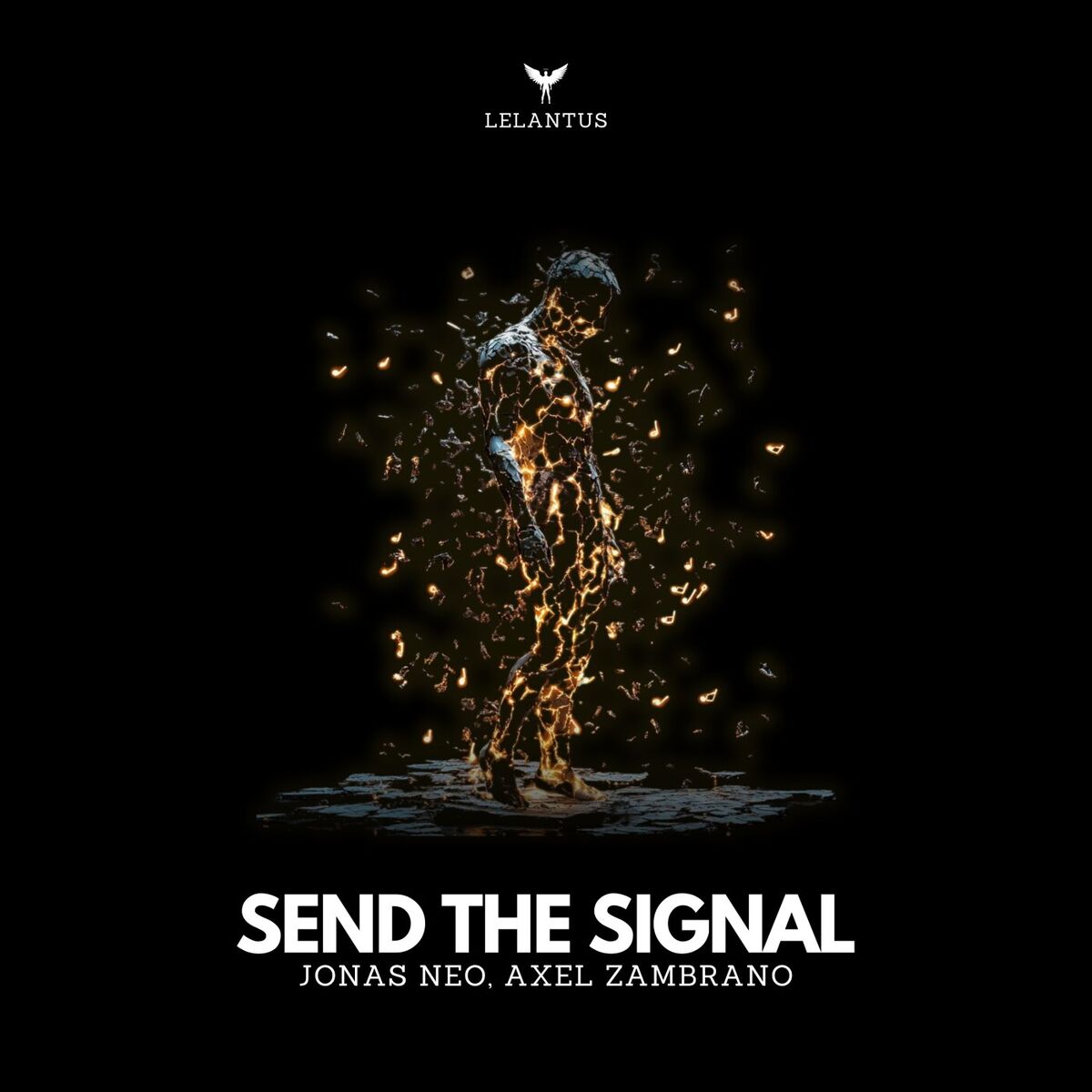 Album cover of Send the Signal