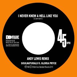 Cover of I Never Knew a Hell Like You (Andy Lewis Remix)