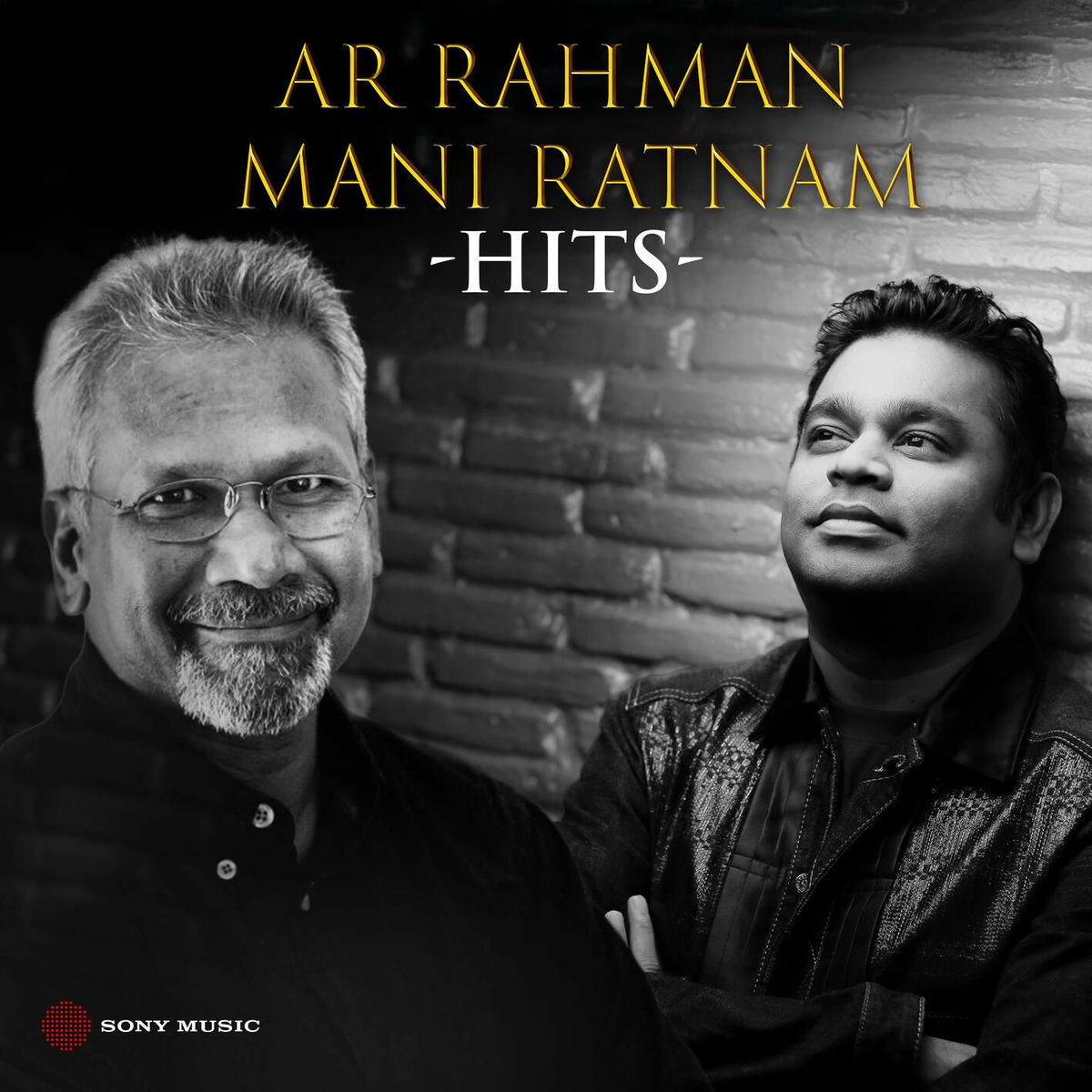 Album cover of A.R. Rahman & Mani Ratnam Hits
