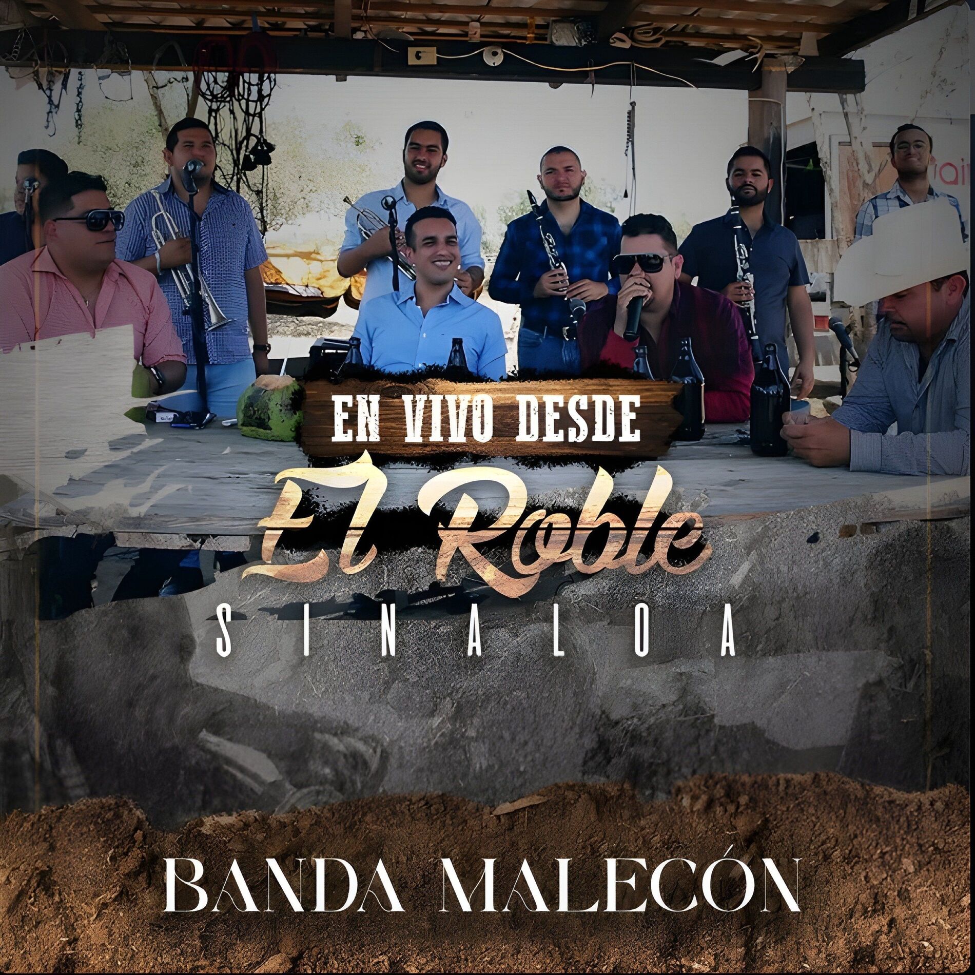 Album cover of El Pajarillo - En Vivo