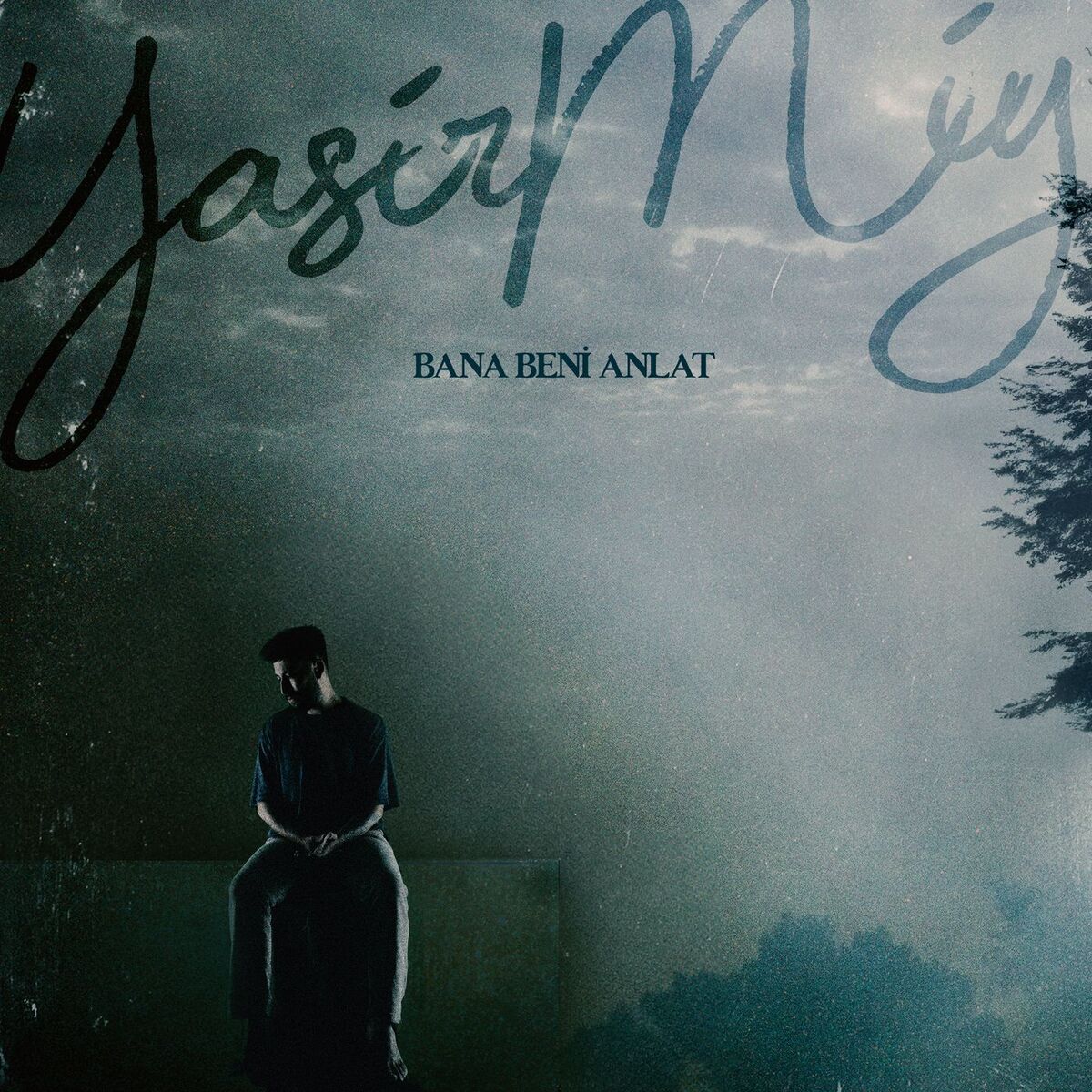 Album cover of BANA BENİ ANLAT