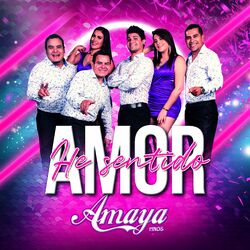 Cover of He Sentido Amor