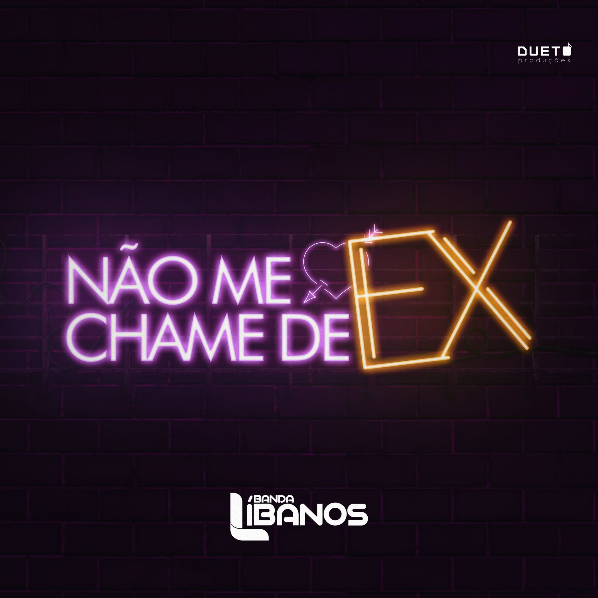 Album cover of Não Me Chame de Ex