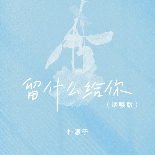 留什么给你 (烟嗓版)