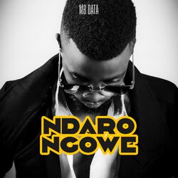 Cover of Ndarongowe