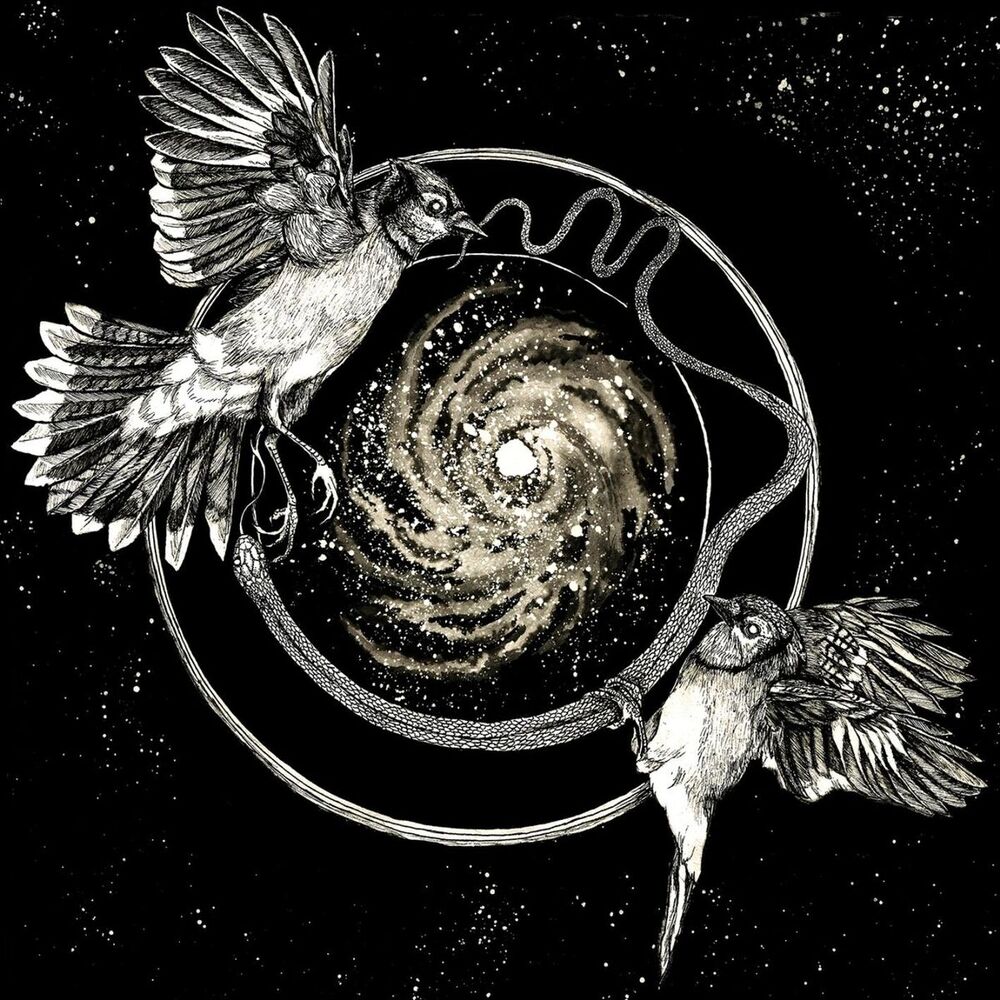 Picture of Sky Swallower