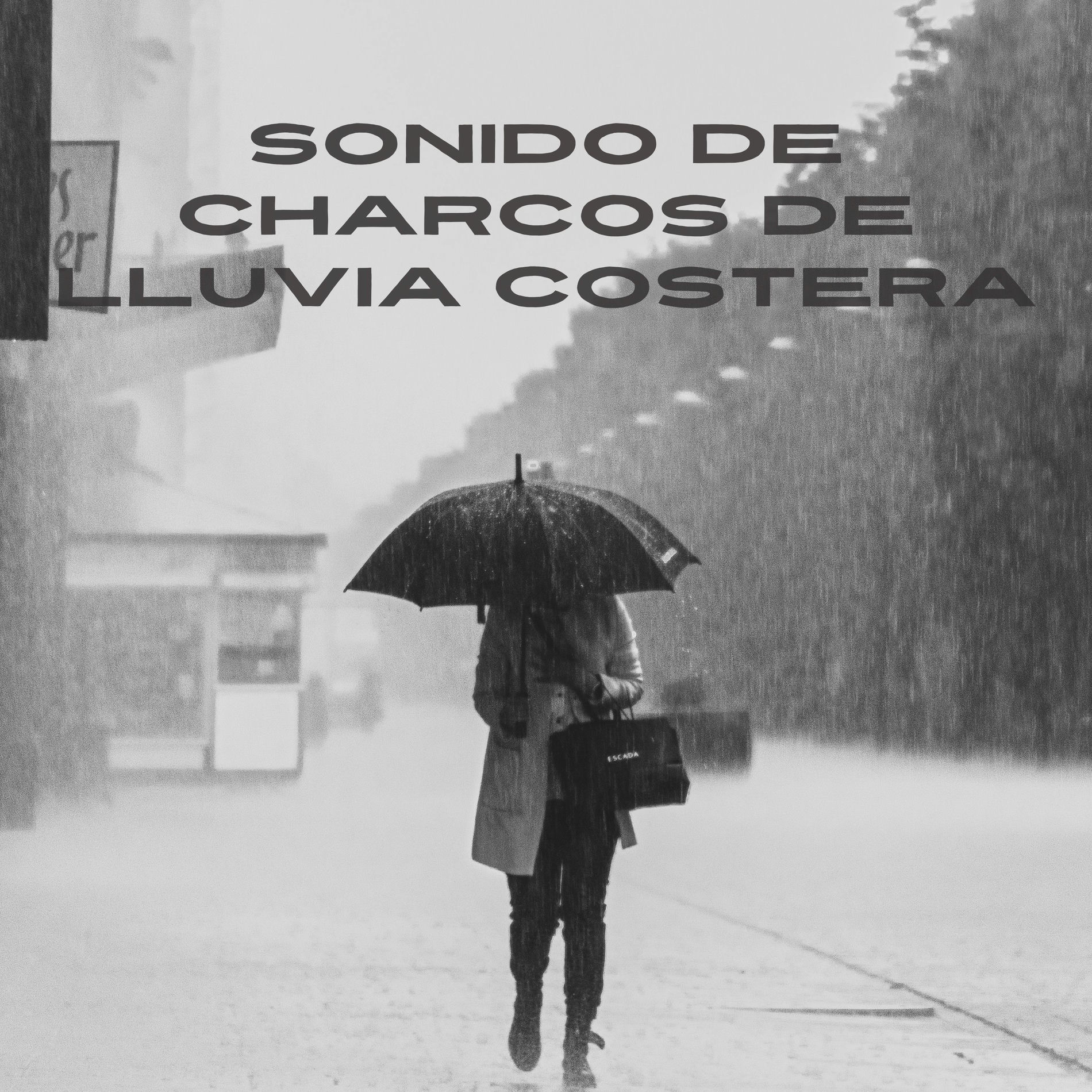 Album cover of Sonido de Charcos de Lluvia Costera