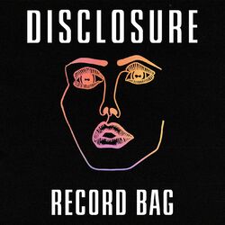 Cover of Record Bag