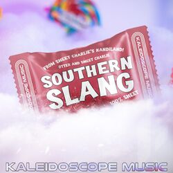 Cover of Southern Slang