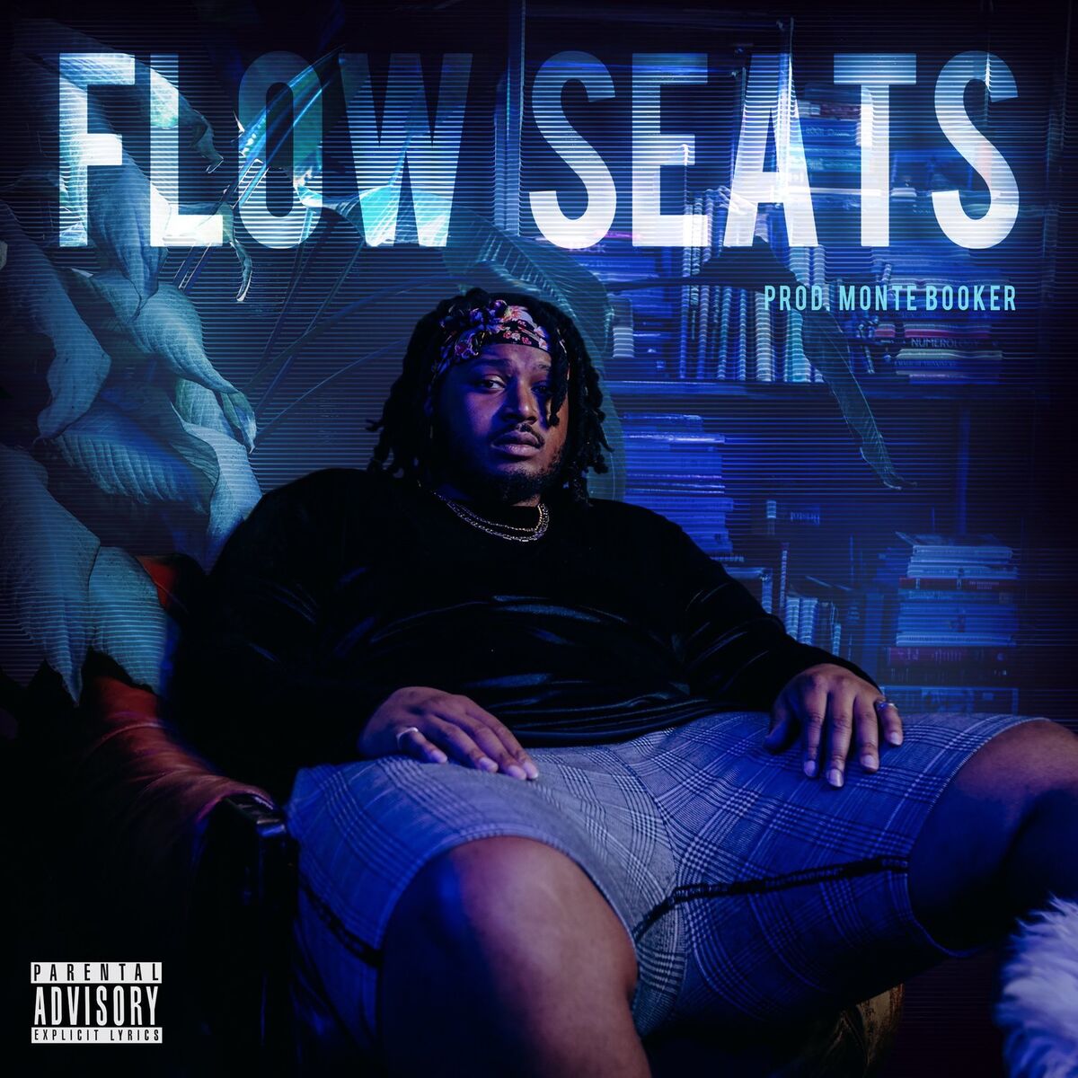Album cover of Flow Seats