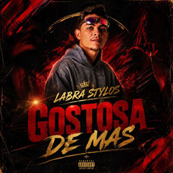 Cover of Gostosa Demais by undefined