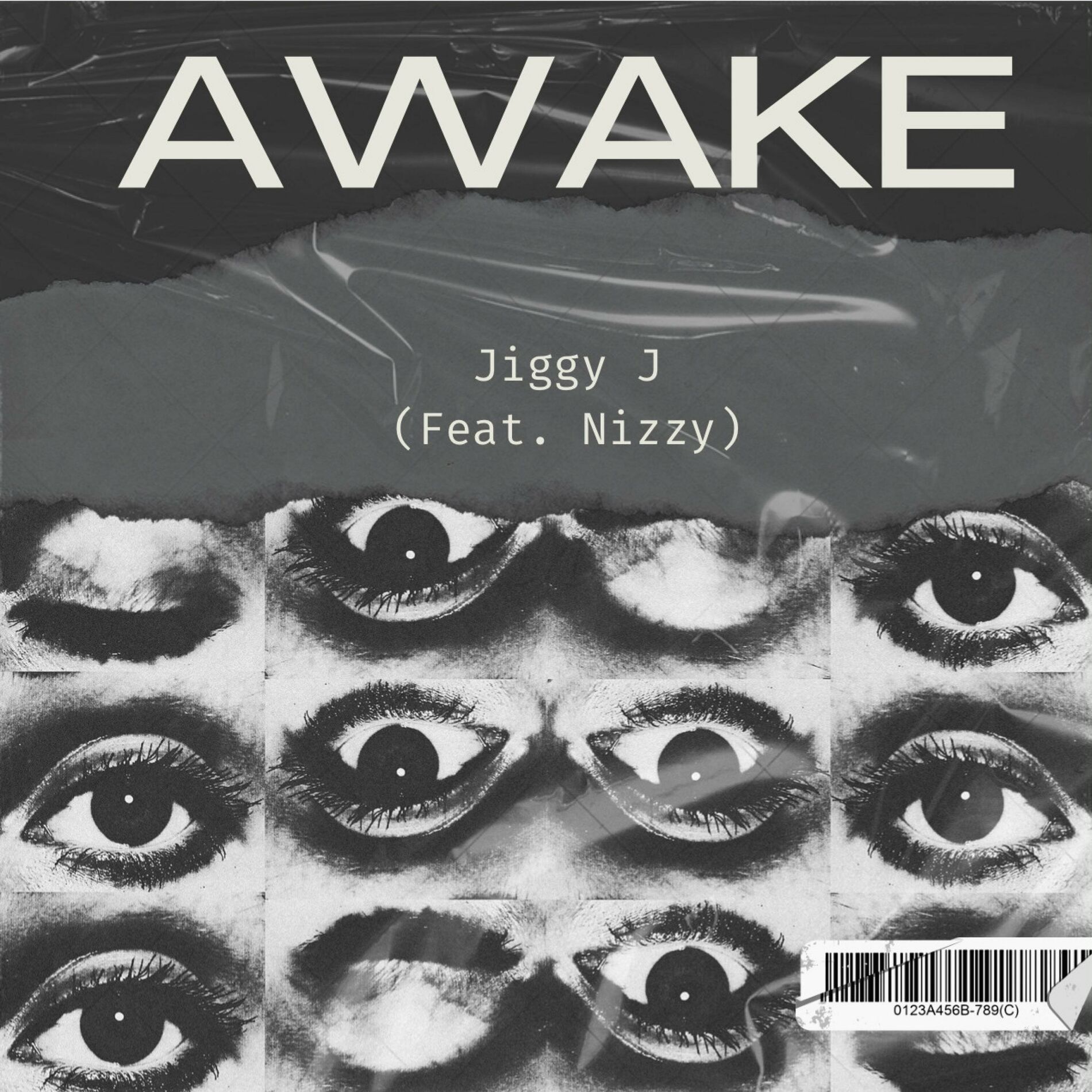 Album cover of Awake (feat. Nizzy)