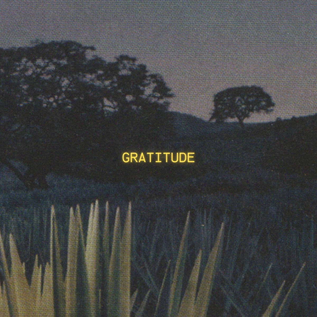 邦楽 GRATITUDE Odyssybeatz - Gratitude | Deezer
