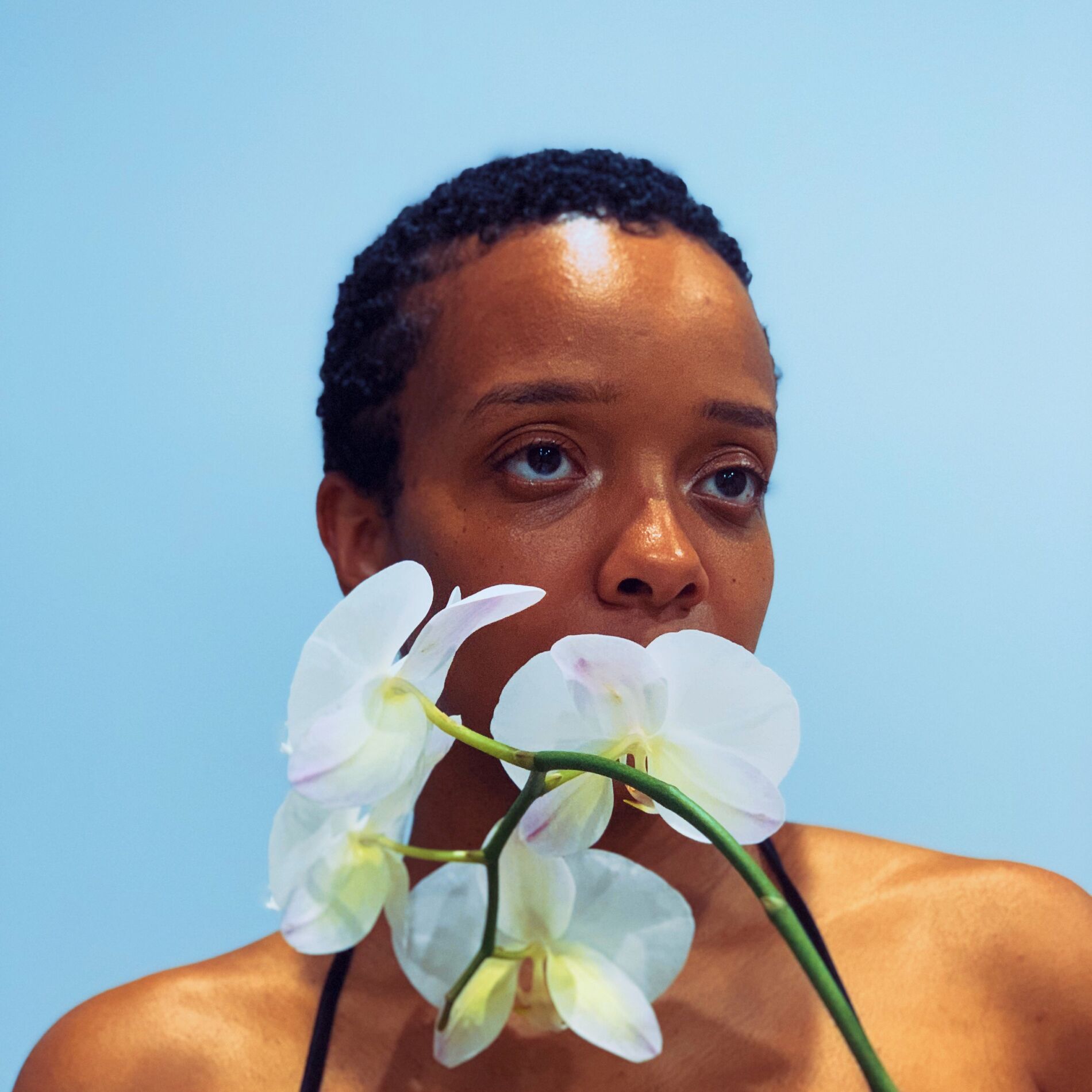 Album cover of SULA