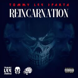 Cover of Reincarnation
