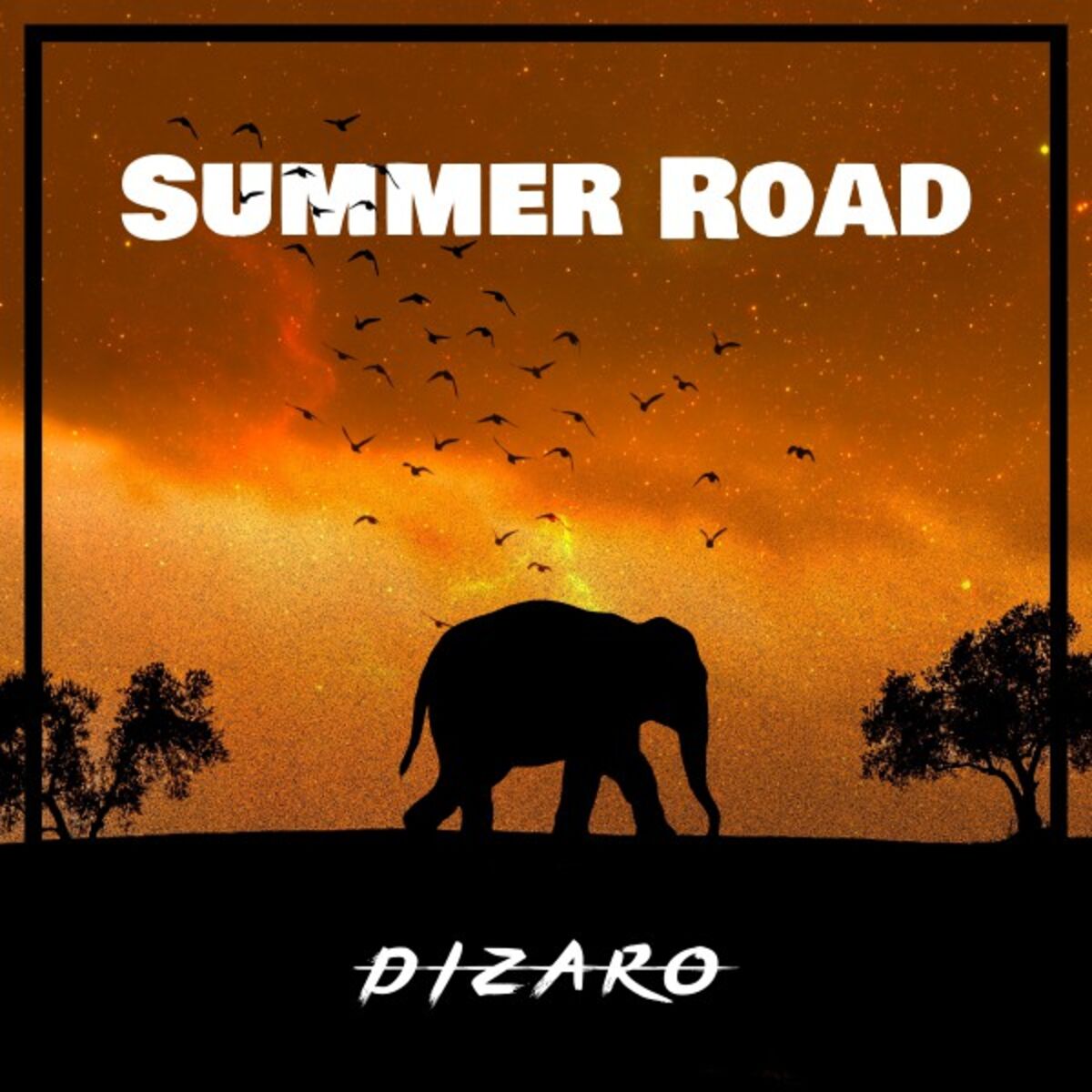 Album cover of Safari