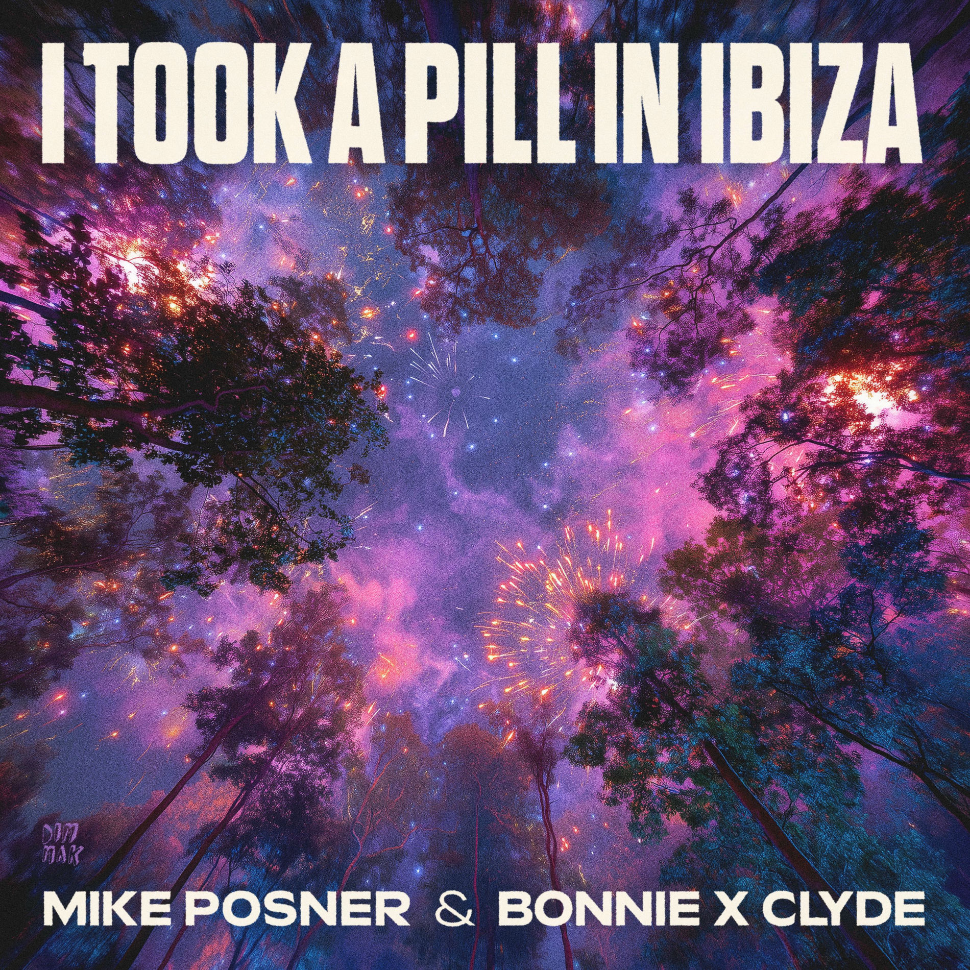 Album cover of I Took A Pill In Ibiza