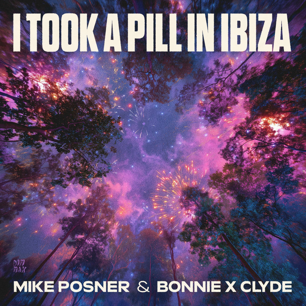 I Took a Pill in Ibiza cover