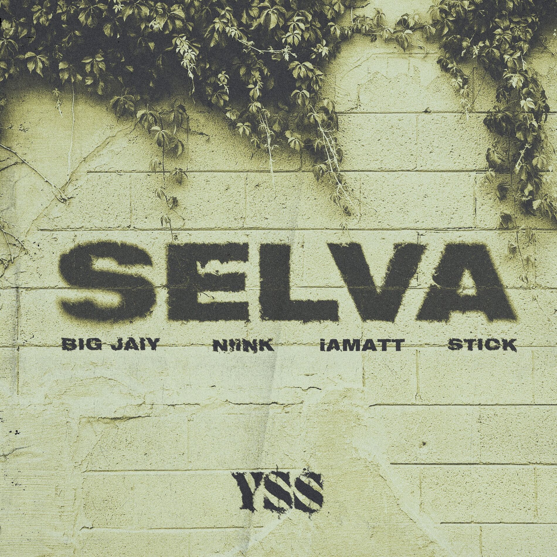Album cover of SELVA