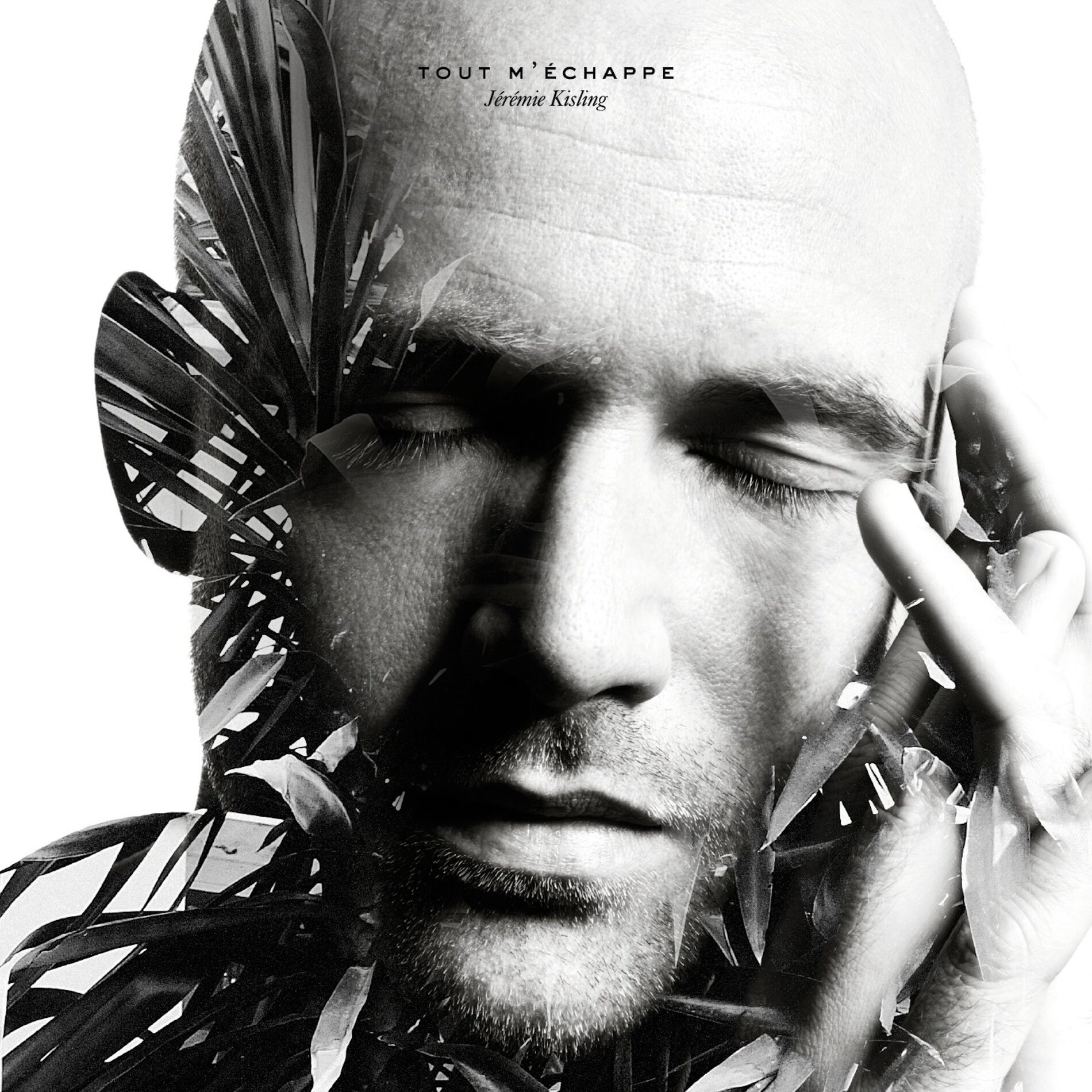 Album cover of La fil du jour