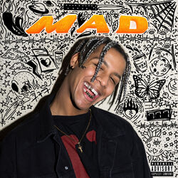 Cover of Mad