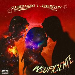 Cover of Insuficiente
